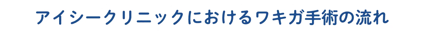 アイシークリニックにおけるワキガ手術の流れ