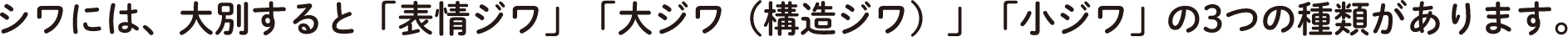 シワには、大別すると「表情ジワ」「大ジワ（構造ジワ）」「小ジワ」の３つの種類があります。