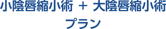 「小陰唇縮小術＋大陰唇縮小術」 プラン