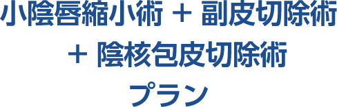 「小陰唇縮小術 + 副皮切除術 + 陰核包皮切除術」 プラン