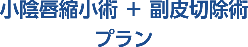 「小陰唇縮小術＋副皮切除術」 プラン