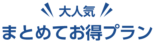 大人気まとめてお得プラン