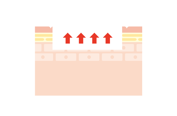 皮膚が自然再生