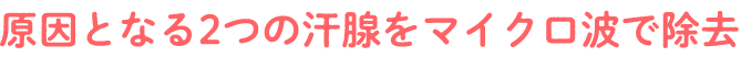 原因となる2つの汗腺をマイクロ波で除去